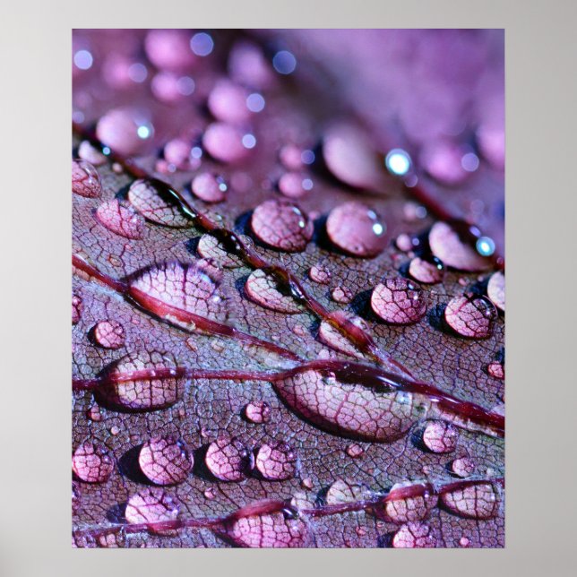 Purple Rain Poster (Front)