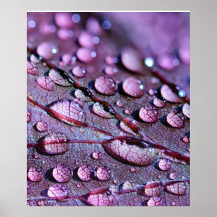 Purple Rain Poster