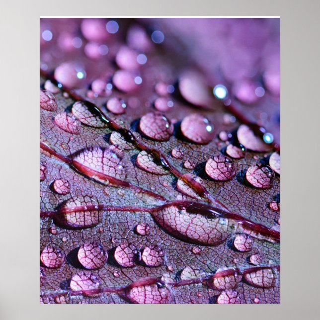 Purple Rain Poster (Front)