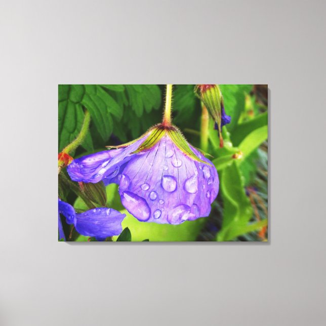 Purple Raindrops Canvas Print (Front)