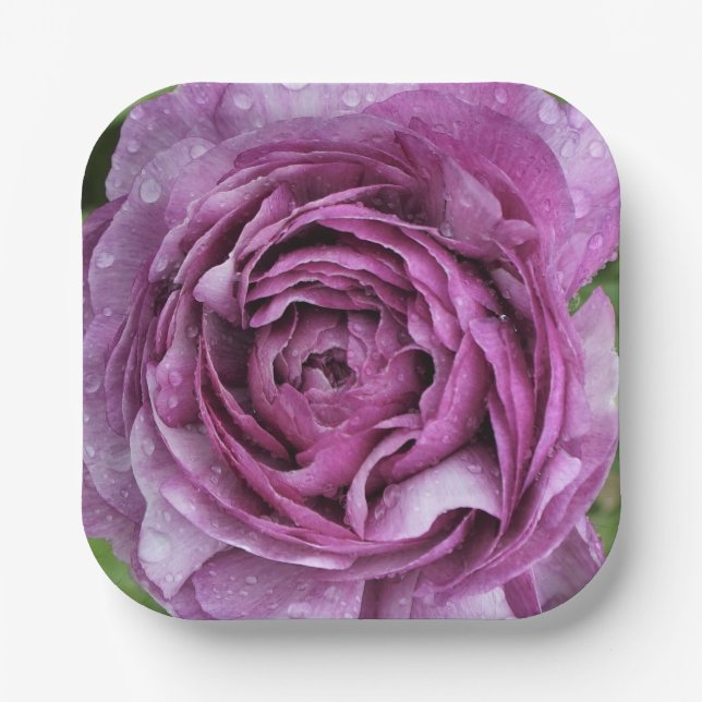 Purple Ranunculus Paper Plate (Front)