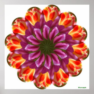 Purple, Red and Yellow Tulips Poster