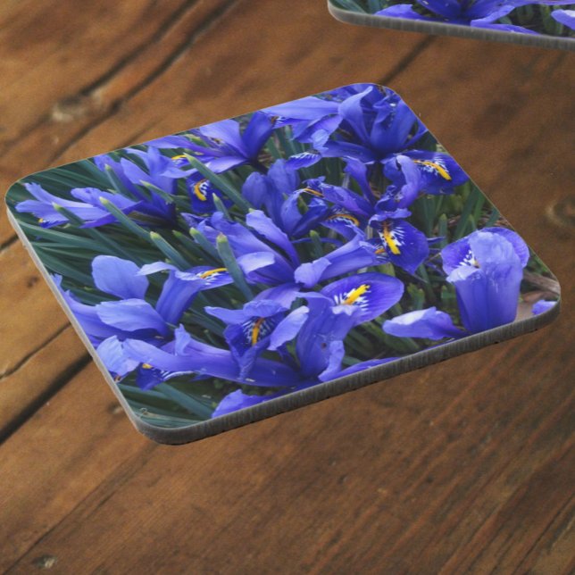 Purple Reticulated Irises Floral Coaster (In Situ)