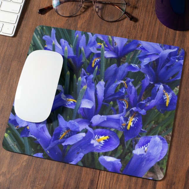Purple Reticulated Irises Floral Mouse Pad (In Situ)