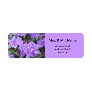 purple rhododendron flowers