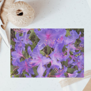 Purple Rhododendron Flowers Floral Tissue Paper