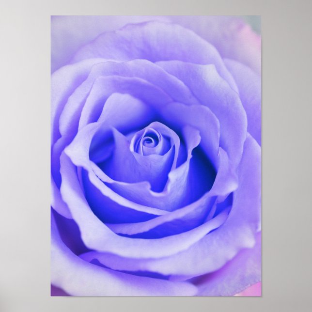 Purple Rose Background Customised Lavender Blank Poster (Front)