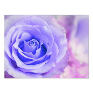 Purple Rose Background Customised Template Photo Print