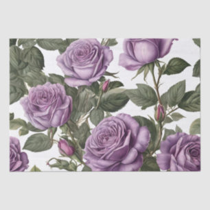 Purple Rose Budding Roses, Tissue Paper