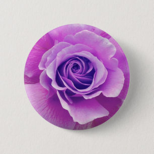 Purple Rose Button