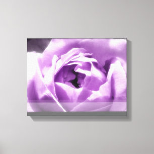 Purple Rose Canvas Print