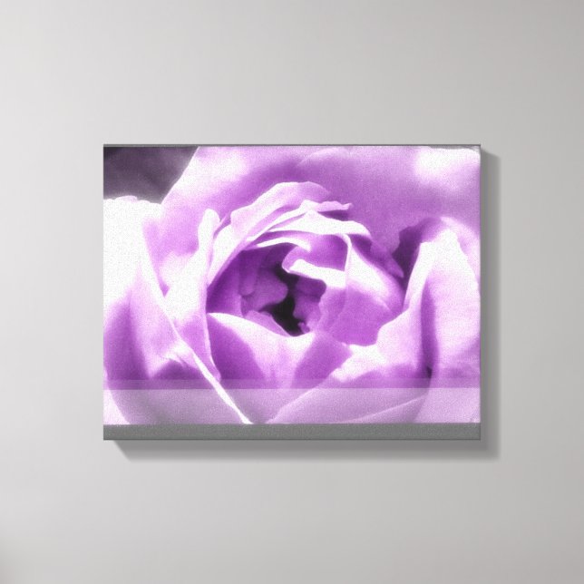 Purple Rose Canvas Print (Front)
