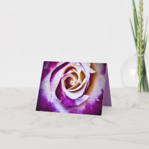 Purple Rose Card