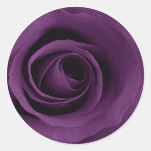 Purple Rose Classic Round Sticker