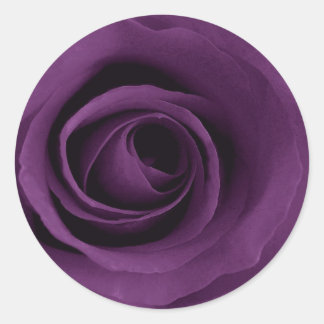 Purple Rose Classic Round Sticker
