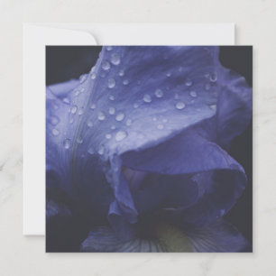 Purple Rose Flower Card