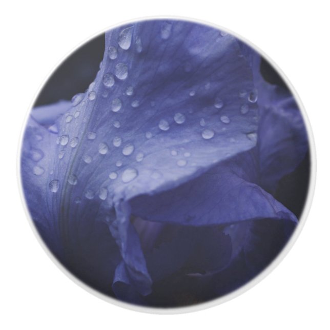 Purple Rose Flower Ceramic Knob (Front)