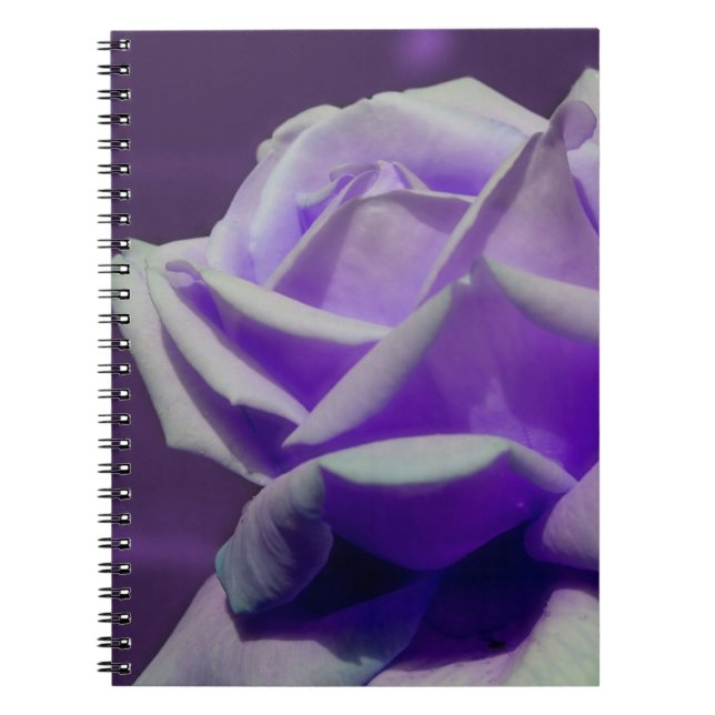 Purple Rose Flower Nature Notebook (Front)