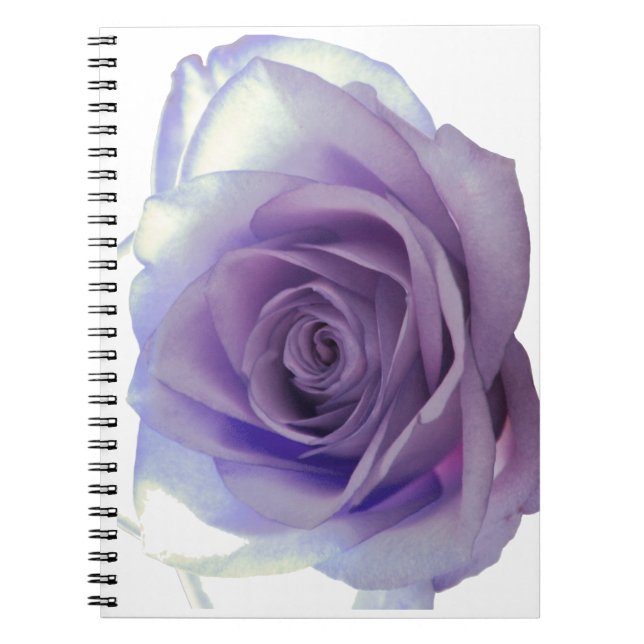 Purple Rose Flower Spiral Notebook (Front)