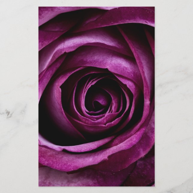 Purple Rose Flower Stationery (Front)