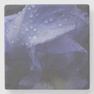Purple Rose Flower Stone Coaster