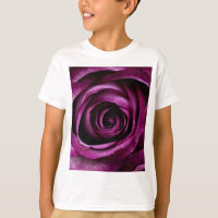 Purple Rose Flower