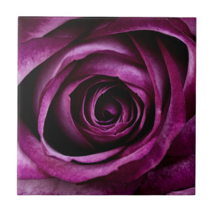 Purple Rose Flower Tile