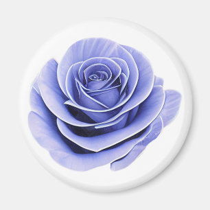 Purple Rose Magnet