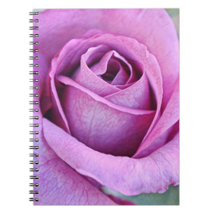 Purple Rose Petals from Gertie's Garden Notebook