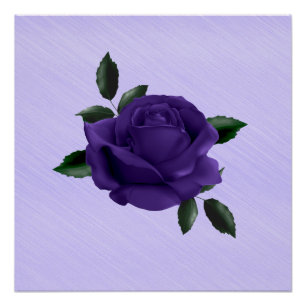 Purple Rose Poster