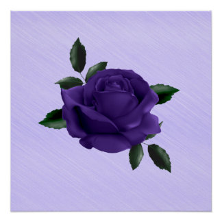 Purple Rose Poster