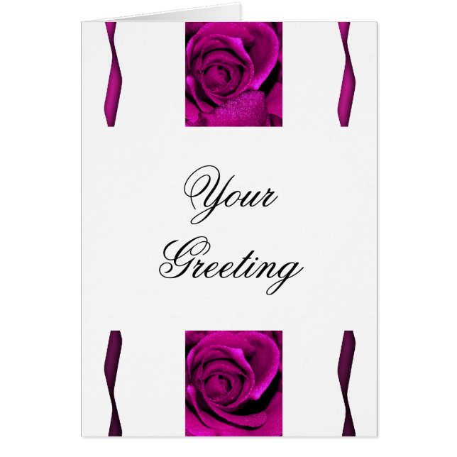 Purple rose roses elegant (Front)