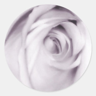 purple rose sticker