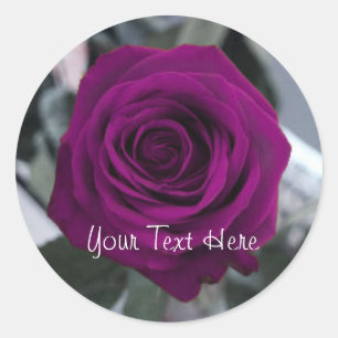Purple Rose Sticker
