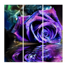 Purple Rose