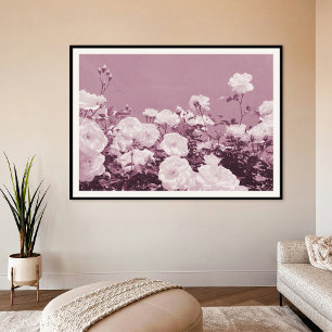 Purple Roses Floral Garden Photo Art Print Poster