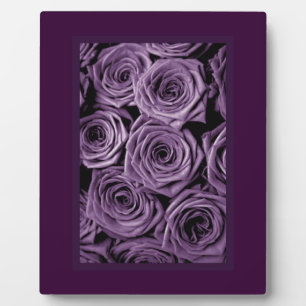 Purple Roses Plaque