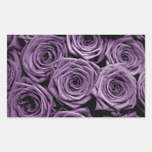 Purple Roses Rectangular Sticker