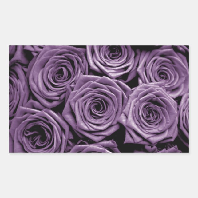Purple Roses Rectangular Sticker (Front)