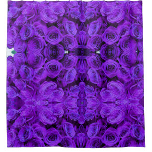 Purple  roses shower curtain