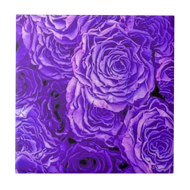 Purple Roses Tile (Front)