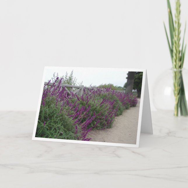 Purple Row Card (Front)