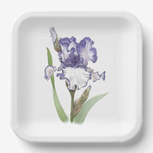 Purple Ruffled Iris Botanical Art Paper Plate (Front)