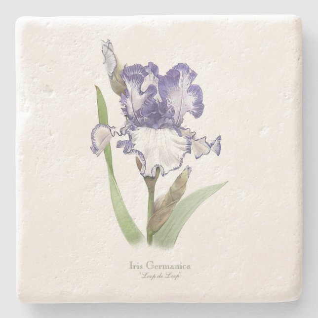 Purple Ruffled Iris Stone Coaster (Front)