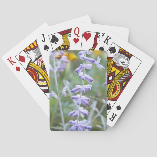 Purple Russian Sage -Pervoskia Playing Cards (Back)