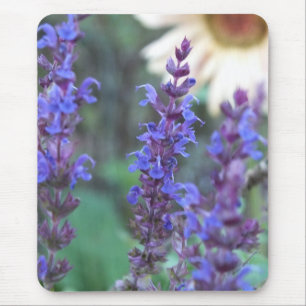 Purple Salvia Mouse Pad
