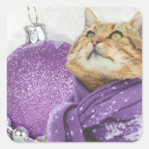 Purple Scarf Winter Cat Stickers