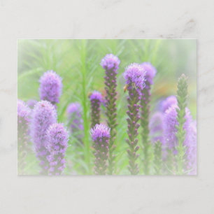 Purple Spiked Floral Postcard