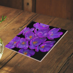 Purple Spring Crocuses Floral Tile