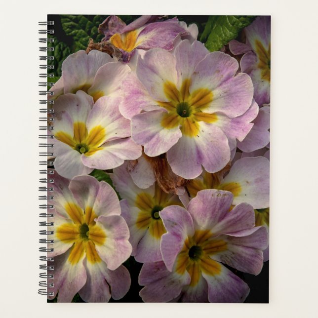 Purple Spring Flowers 2024 Planner (Front)